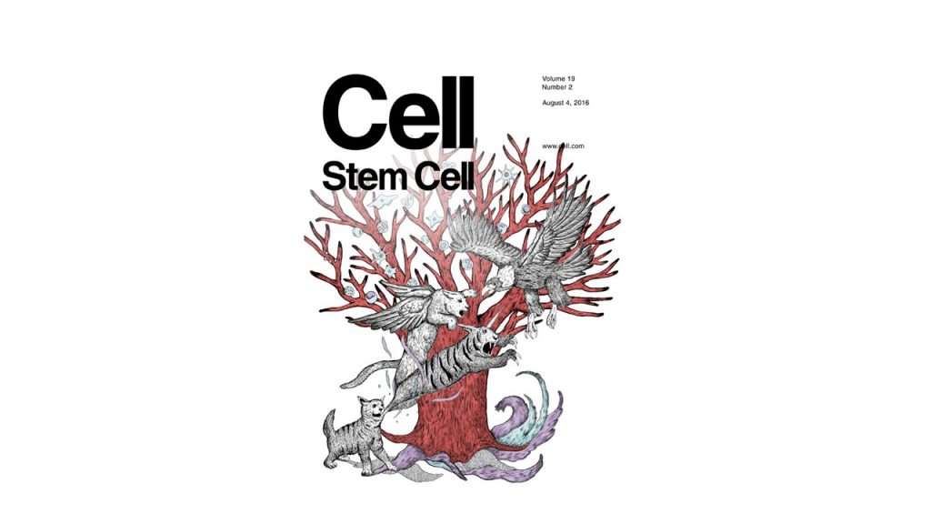 Proximity-Based Differential Single-Cell Analysis of the Niche to Identify Stem/Progenitor Cell Regulators