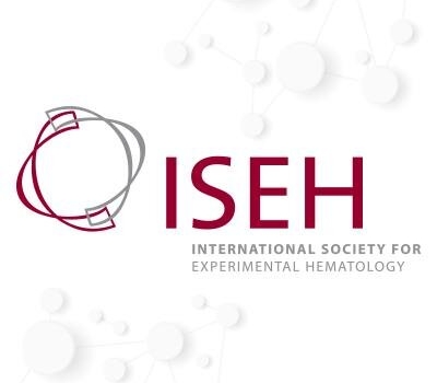 Announcing the 2019 ISEH Award Winners – David Scadden and David Traver