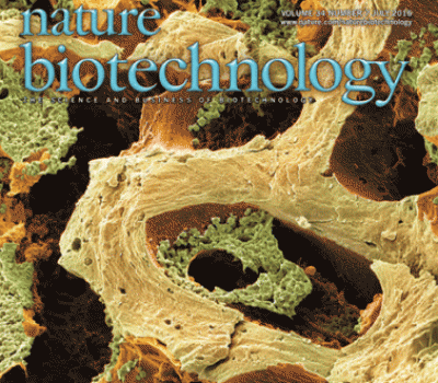 About the cover: Nature Biotechnology